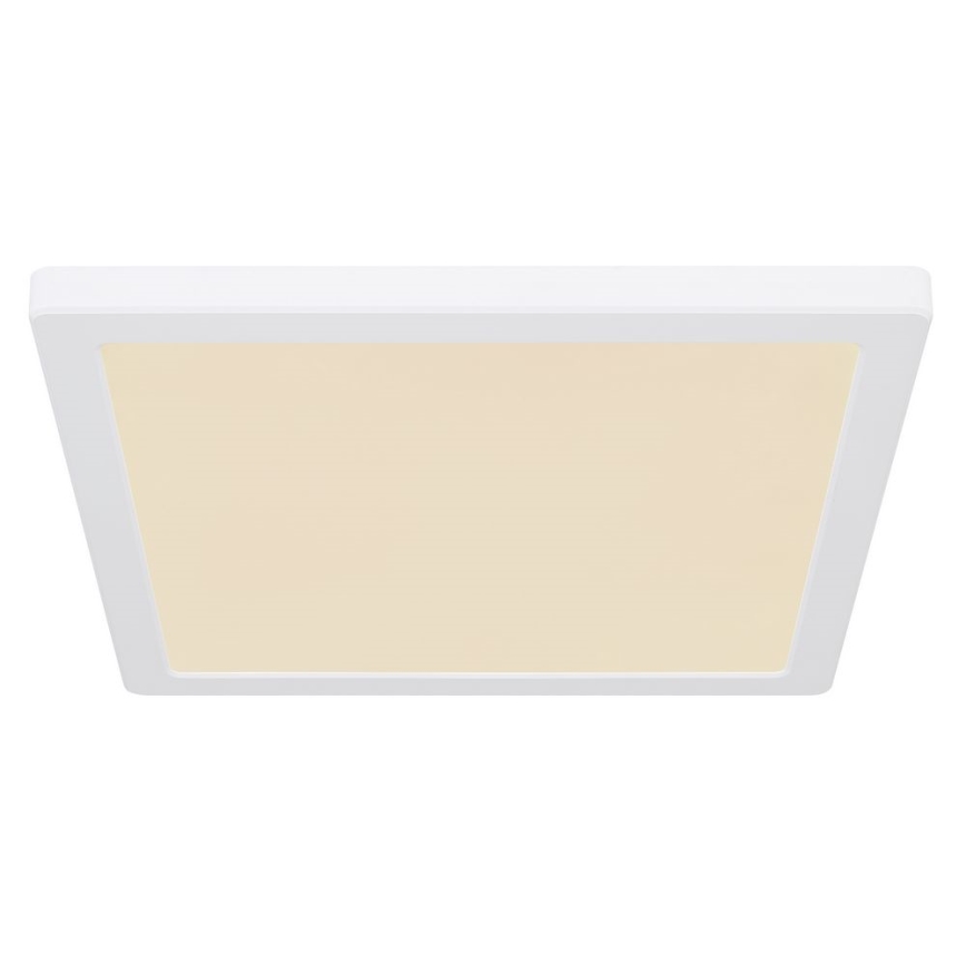 Globo - LED Griestu lampa LED/24W/230V 3000/4000/6500K balta