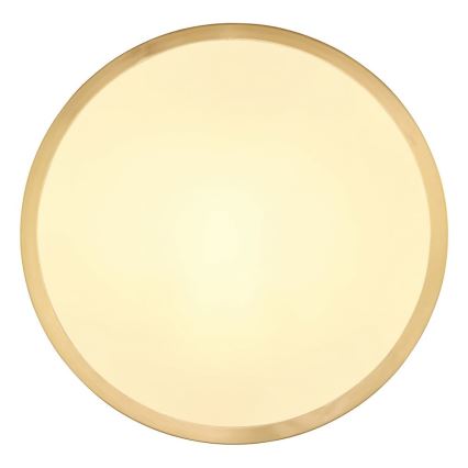 Globo - LED Griestu lampa LED/15W/230V d. 25 cm