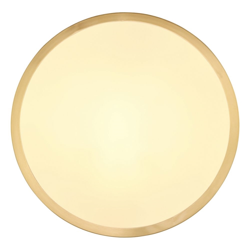 Globo - LED Griestu lampa LED/15W/230V d. 25 cm