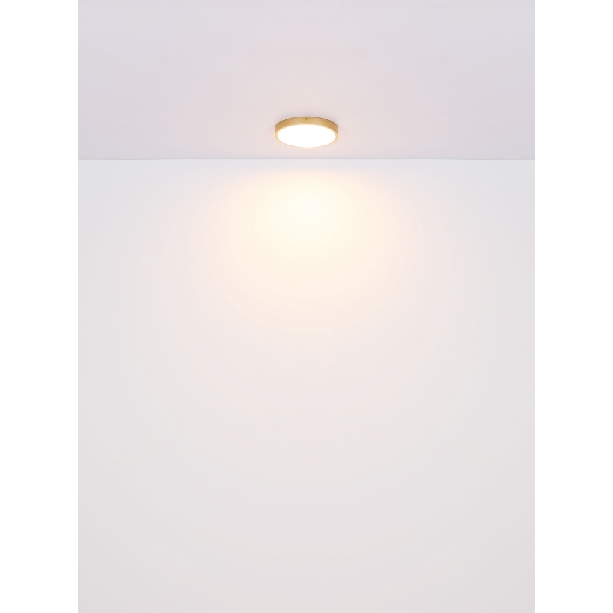 Globo - LED Griestu lampa LED/22W/230V d. 35 cm