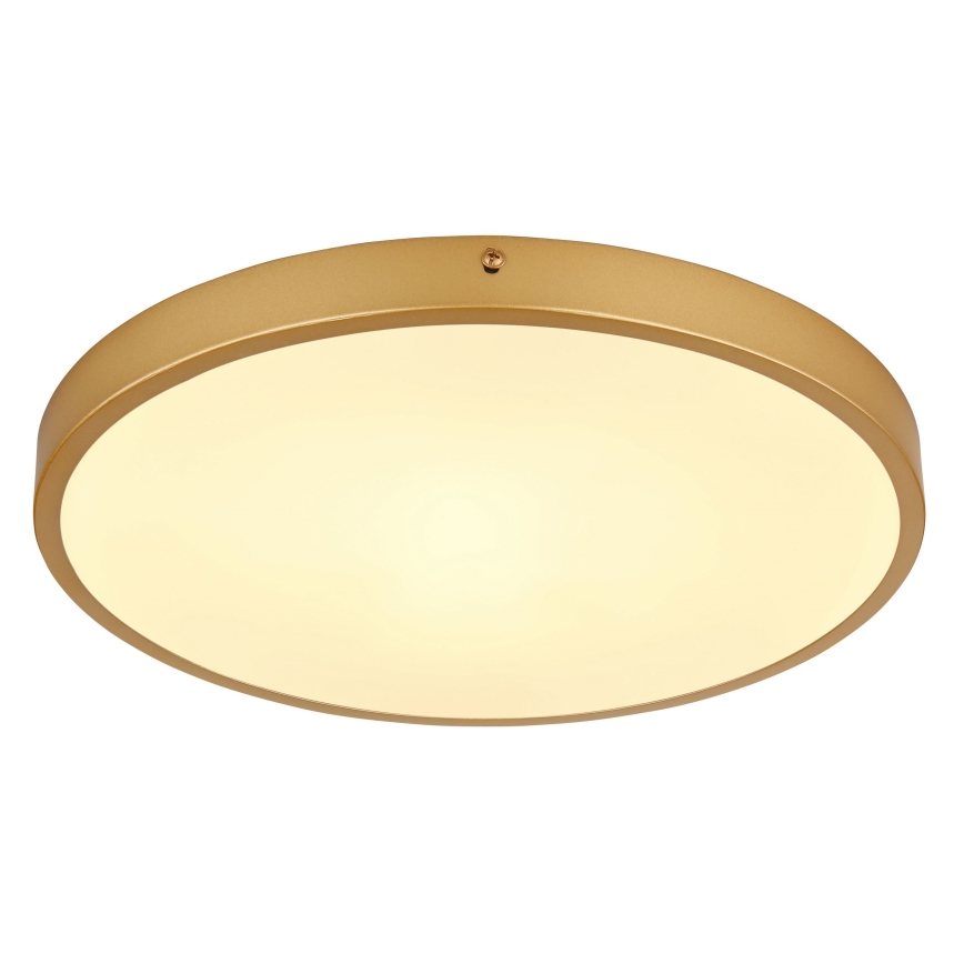 Globo - LED Griestu lampa LED/22W/230V d. 35 cm