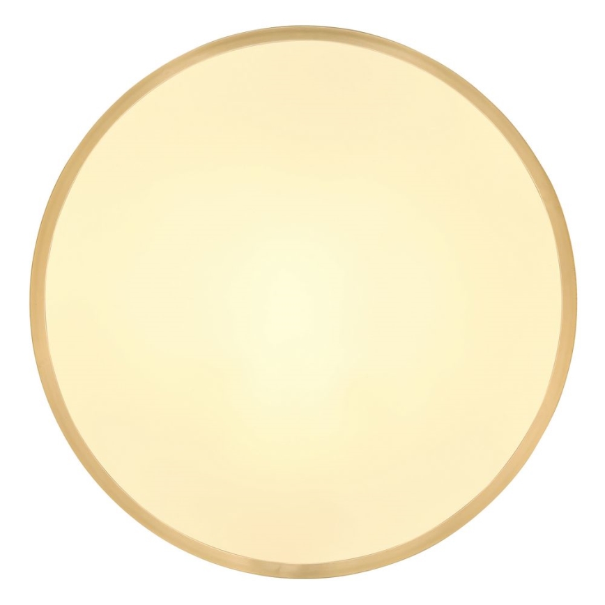 Globo - LED Griestu lampa LED/22W/230V d. 35 cm