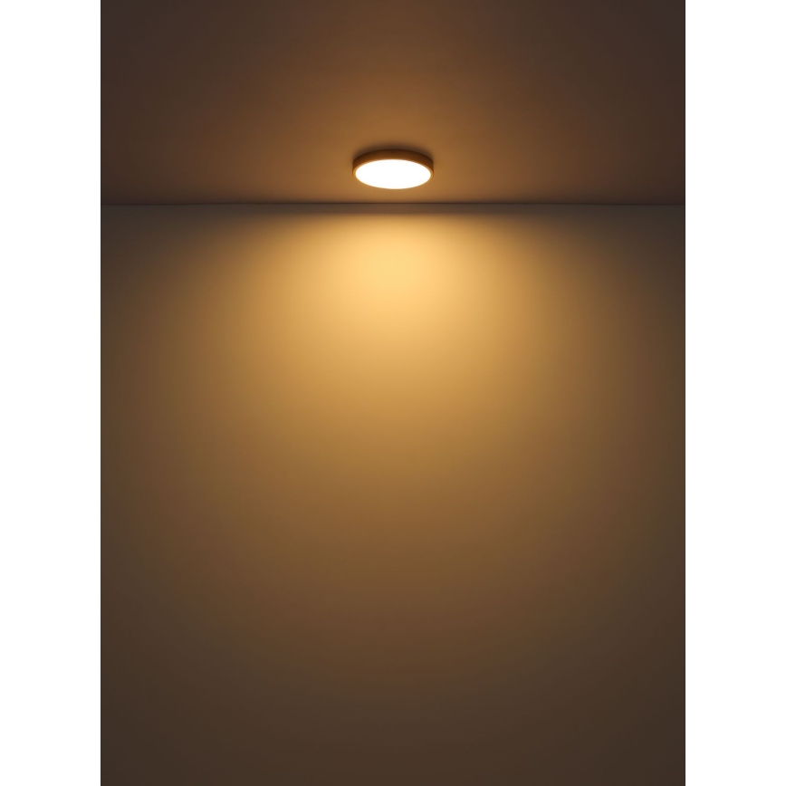 Globo - LED Griestu lampa LED/30W/230V d. 45 cm