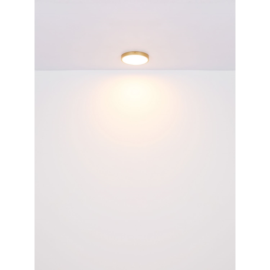 Globo - LED Griestu lampa LED/30W/230V d. 45 cm