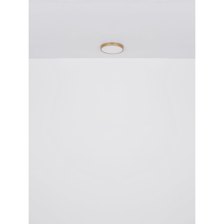 Globo - LED Griestu lampa LED/30W/230V d. 45 cm