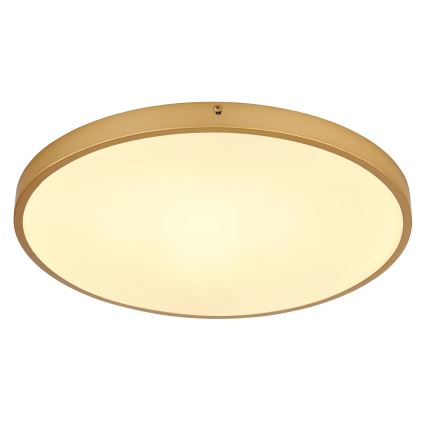 Globo - LED Griestu lampa LED/30W/230V d. 45 cm