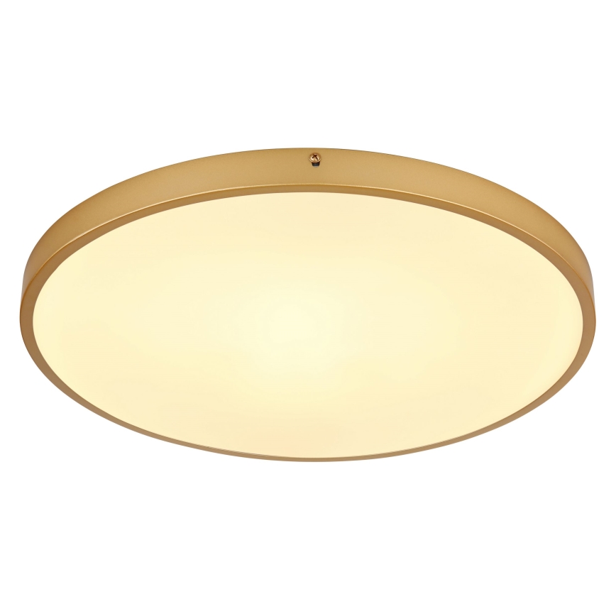 Globo - LED Griestu lampa LED/30W/230V d. 45 cm