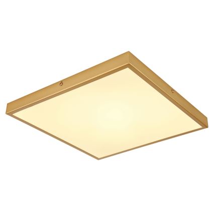 Globo - LED Griestu lampa LED/22W/230V 35x35 cm