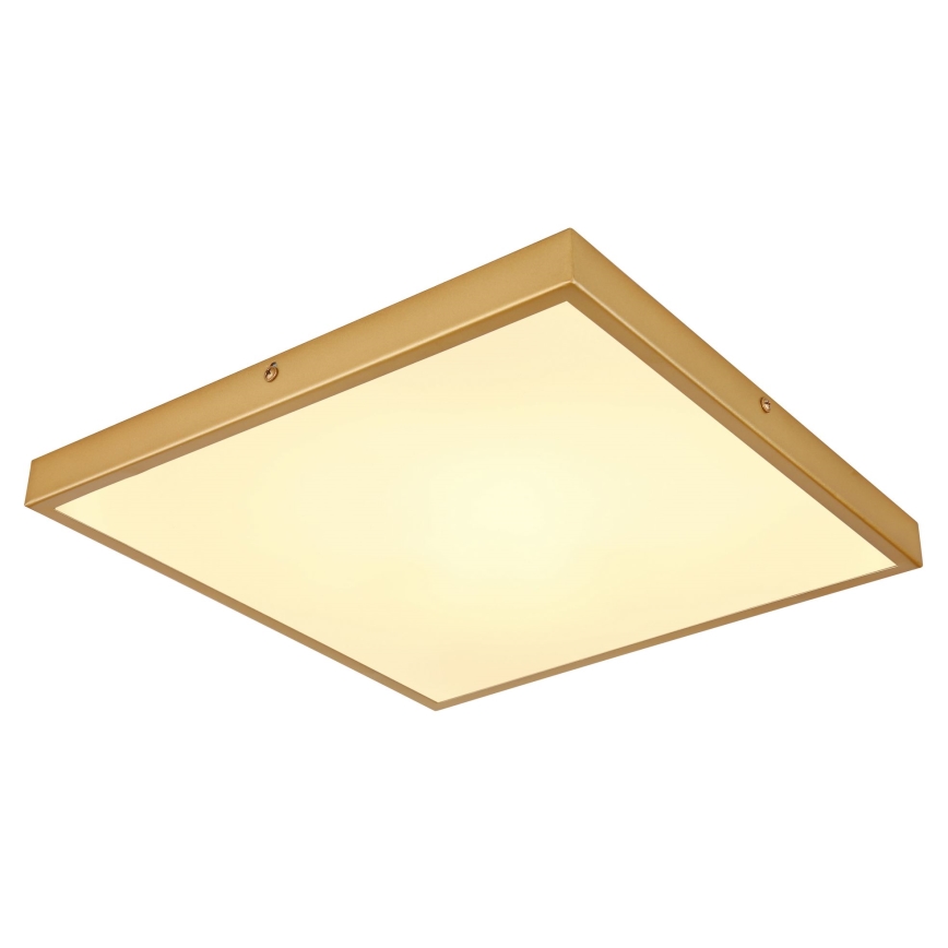 Globo - LED Griestu lampa LED/22W/230V 35x35 cm