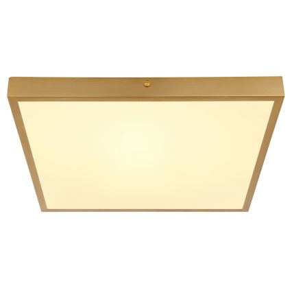 Globo - LED Griestu lampa LED/22W/230V 35x35 cm