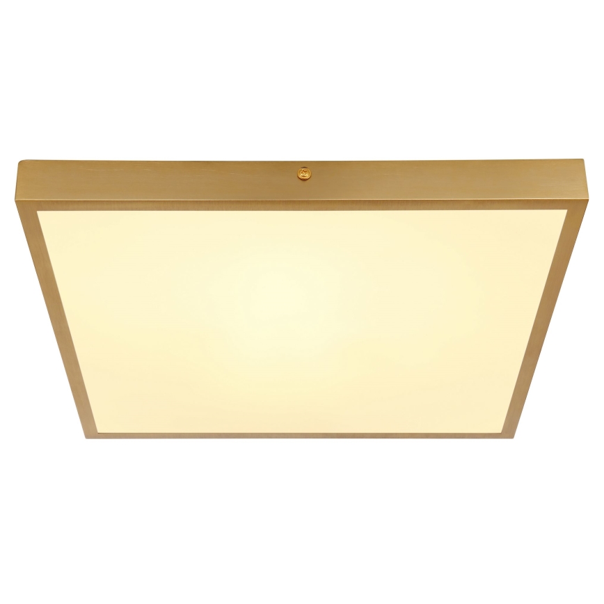 Globo - LED Griestu lampa LED/22W/230V 35x35 cm