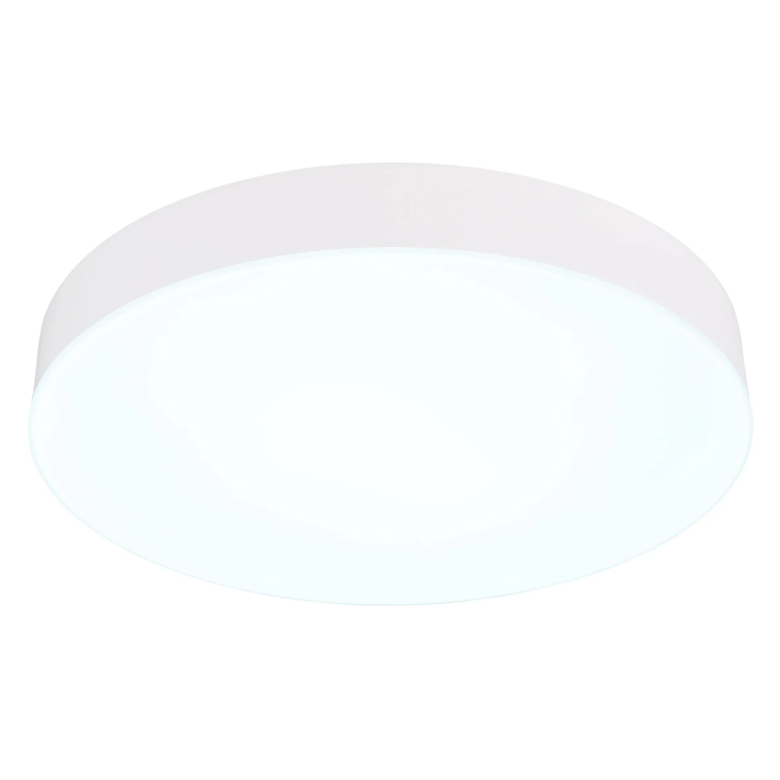Globo - LED Griestu lampa LED/24W/230V 3000K/4000K/6500K d. 30 cm balta