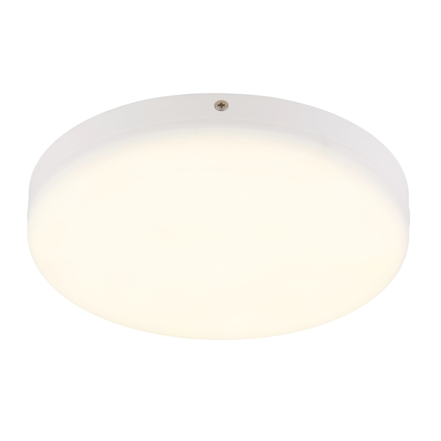Globo - LED Griestu lampa LED/12W/230V 4000K d. 22 cm balta