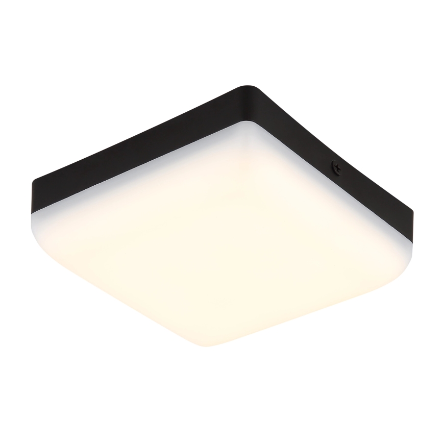 Globo - LED Griestu lampa LED/8W/230V 4000K 12x12 cm melna