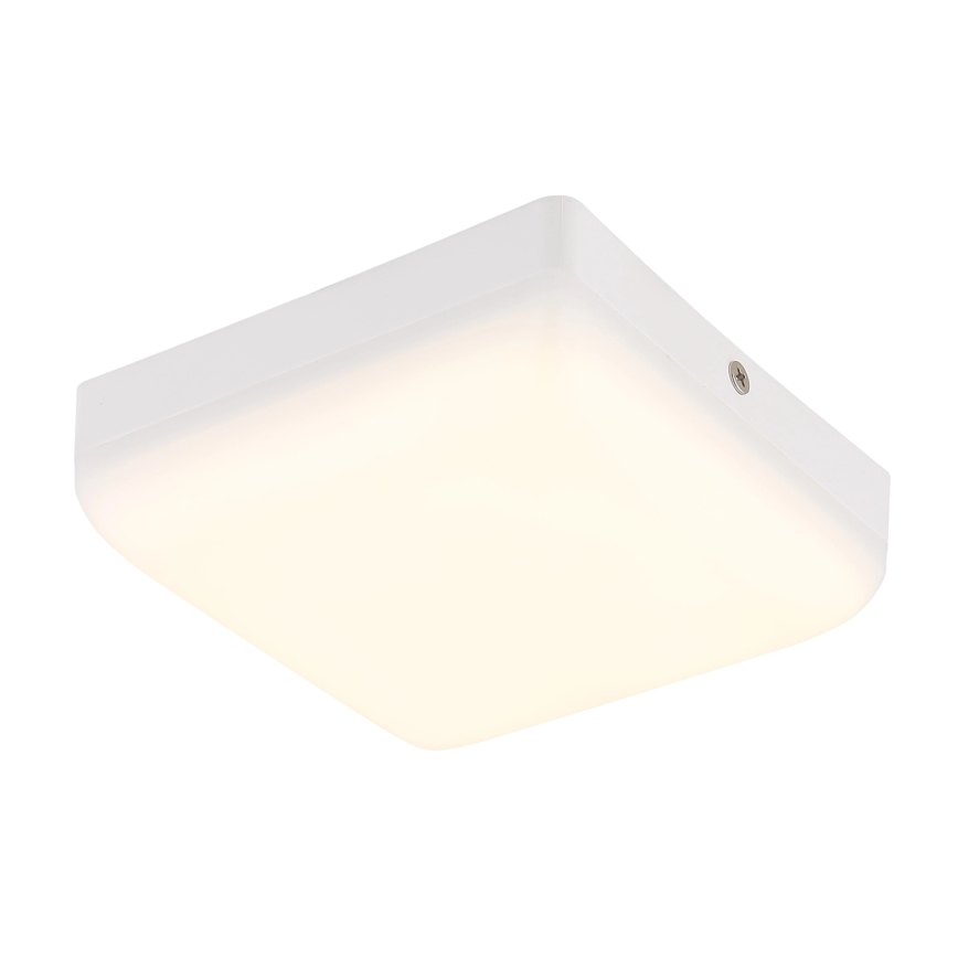 Globo - LED Griestu lampa LED/8W/230V 4000K 12x12 cm balta
