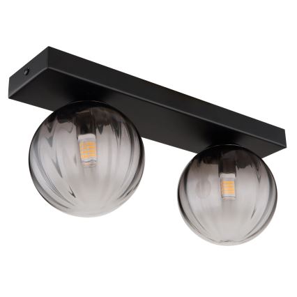 Globo - Griestu lampa 2xG9/10W/230V
