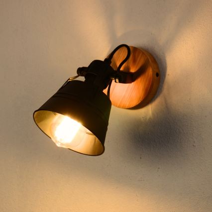 Globo - Sienas starmetis 1xE27/60W/230V egle