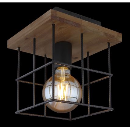 Globo - Griestu lampa 1xE27/60W/230V