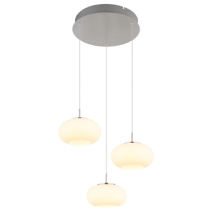 Globo - LED Lustra ar auklu 3xLED/6W/230V