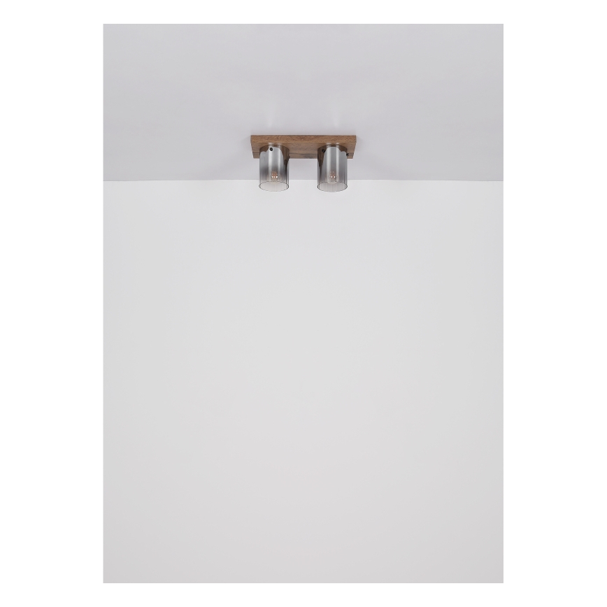 Globo - Griestu lampa 2xE27/40W/230V 16x41 cm