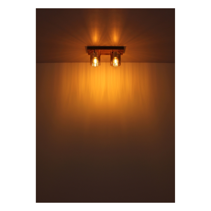 Globo - Griestu lampa 2xE27/40W/230V