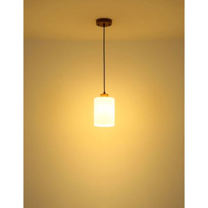 Globo - Karājoša lampa uz troses 1xE27/60W/230V ozols/balts