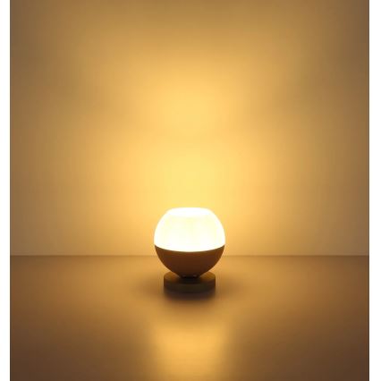 Globo - Galda lampa 1xE27/60W/230V