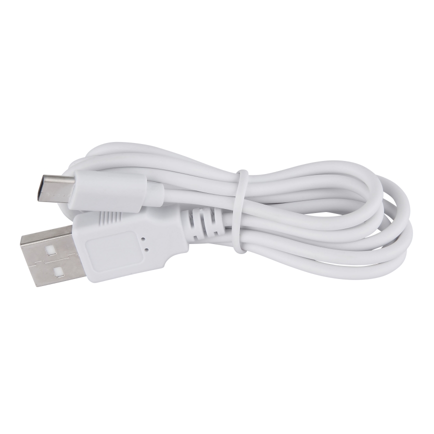 Globo - LED Aptumšojama skārienvadāma galda lampa LED/2W/5V 1200 mAh USB caurspīdīga