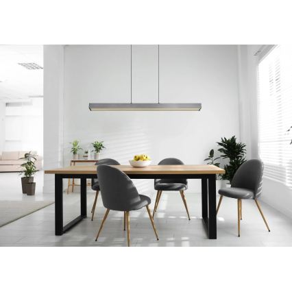 Globo - LED aptumšojama lustra ar pieskāriena vadību uz troses LED/39W/230V 2700/4000/6000K pelēka