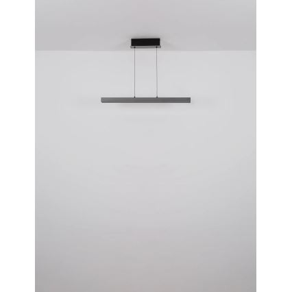 Globo - LED aptumšojama lustra ar pieskāriena vadību uz troses LED/39W/230V 2700/4000/6000K pelēka