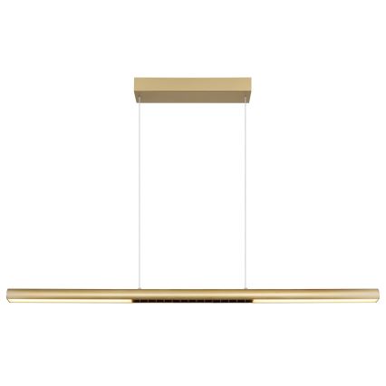 Globo - LED lustra uz troses LED/24W/230V 3000K