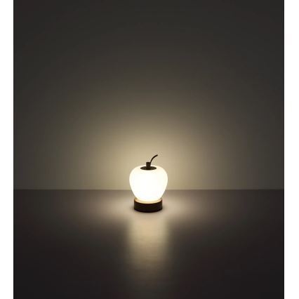 Globo - LED Aptumšojama skārienvadāma galda lampa LED/2W/3,7V 2700K/4000K/6500K 1200 mAh USB brūna