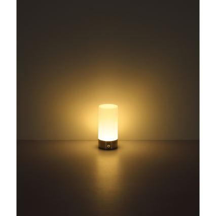 Globo - LED RGBW Aptumšojama skārienvadāma āra galda lampa LED/1,8W/5V 1500 mAh IP44 matēts hroms