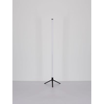 Globo - LED RGB regulējama stāvlampa LED/7W/5V + tālvadības pults