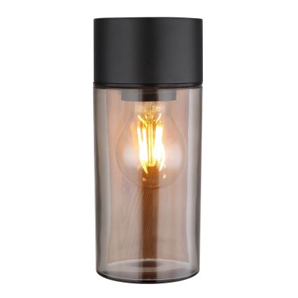 Globo - Āra sienas lampa 1xE27/40W/230V IP44