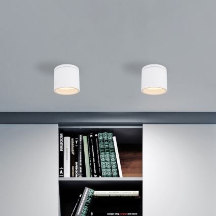 Globo - Āra griestu lampa 1xGX53/11W/230V IP44