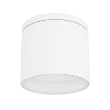 Globo - Āra griestu lampa 1xGX53/11W/230V IP44