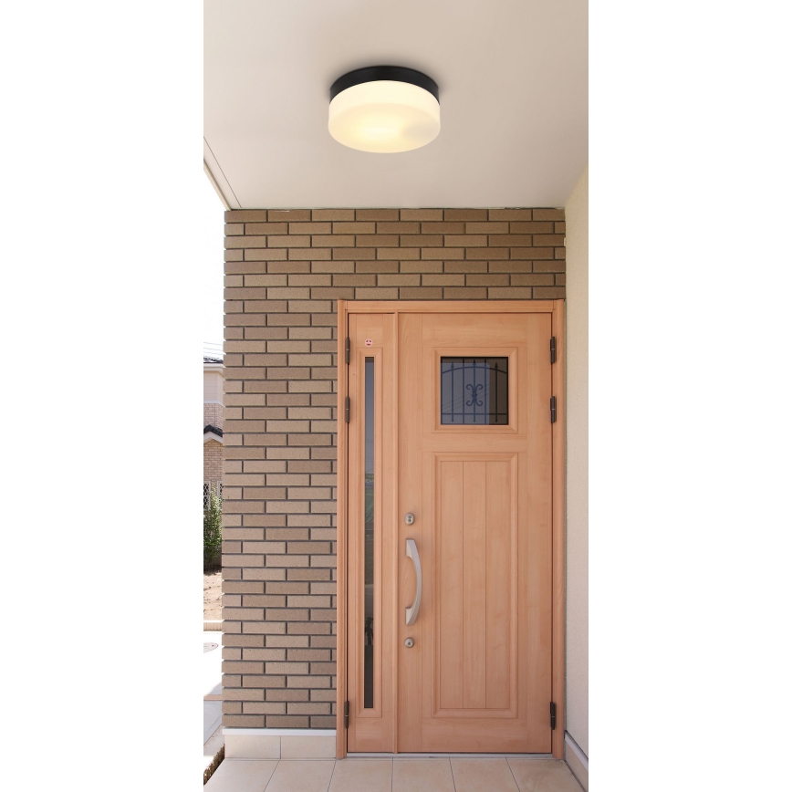 Globo - Vannas istabas lampa 1xE27/60W/230V d. 18,4 cm IP44