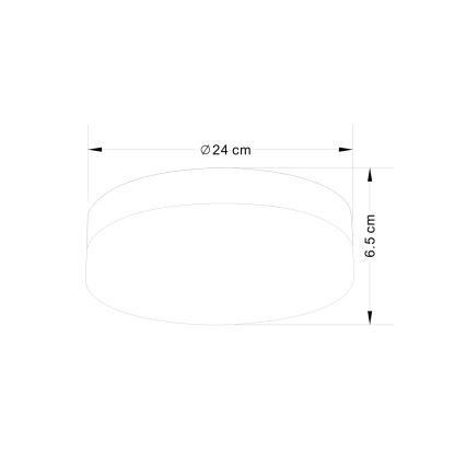 Globo - Vannas istabas lampa 2xE27/40W/230V d. 24 cm IP44