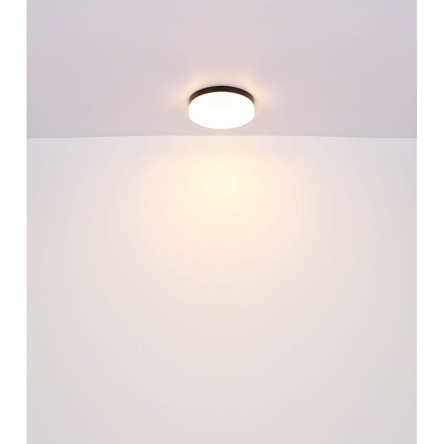 Globo - Vannas istabas lampa 2xE27/60W/230V d. 24 cm IP44