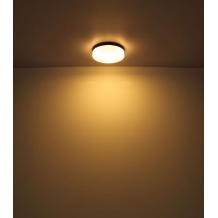 Globo - Vannas istabas lampa 3xE27/60W/230V d. 30 cm IP44