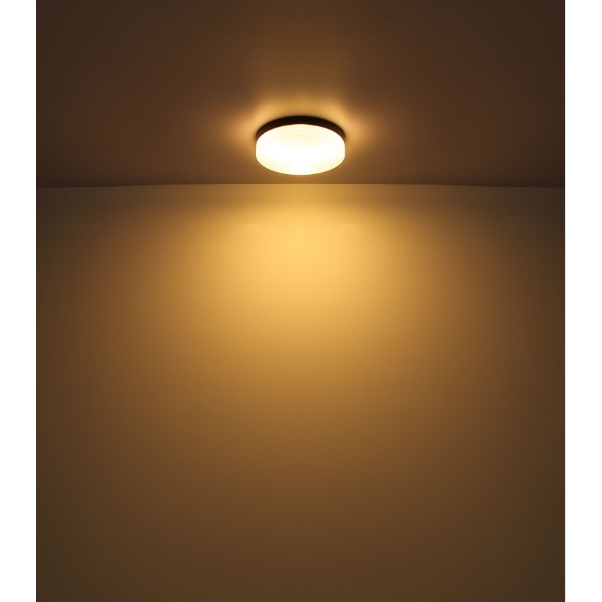 Globo - Vannas istabas lampa 3xE27/60W/230V d. 30 cm IP44