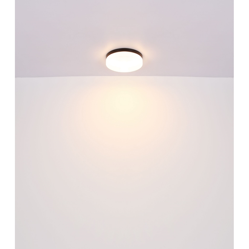 Globo - Vannas istabas lampa 3xE27/60W/230V d. 30 cm IP44