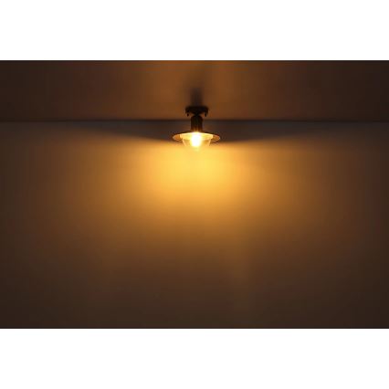 Globo 3274DW - Griestu lampa LINDA 1xE27/15W/230V
