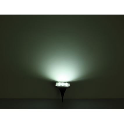 Globo - KOMPLEKTS 2x LED Saules enerģijas lampa LED/0,8W/1,2V IP44 300 mAh