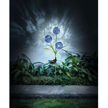 Globo - LED Saules enerģijas lampa 3xLED/0,06W/3V 5000K IP44 violeta
