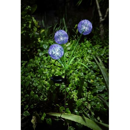 Globo - LED Saules enerģijas lampa 3xLED/0,06W/3V 5000K IP44 violeta