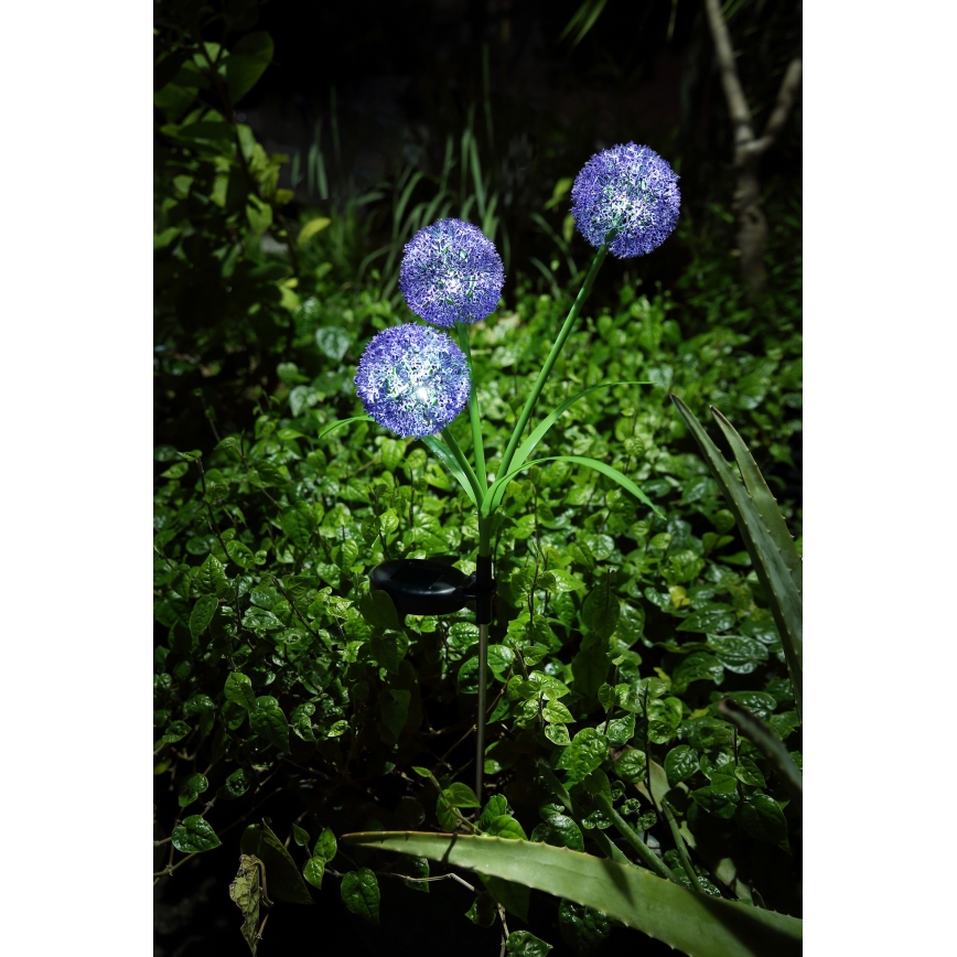 Globo - LED Saules enerģijas lampa 3xLED/0,06W/3V 5000K IP44 violeta