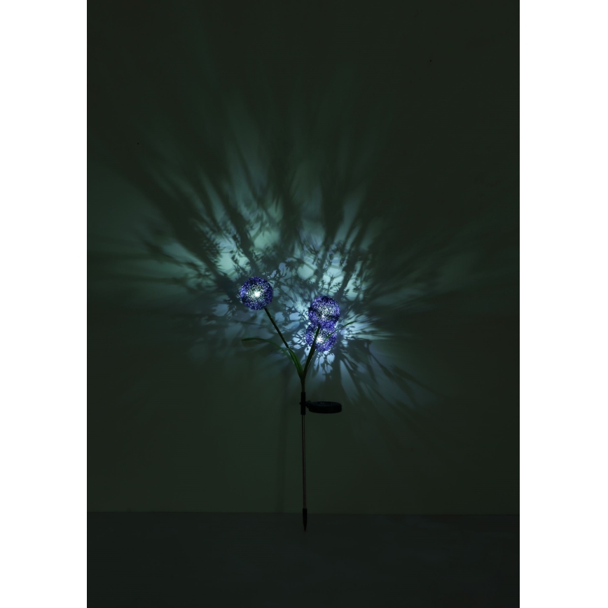 Globo - LED Saules enerģijas lampa 3xLED/0,06W/3V 5000K IP44 violeta