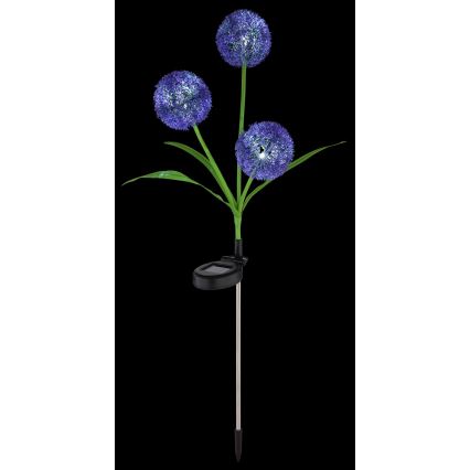 Globo - LED Saules enerģijas lampa 3xLED/0,06W/3V 5000K IP44 violeta